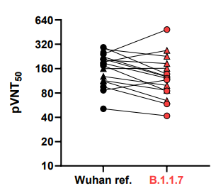 A gauche chaque point correspond au sérum d'un patient et a son efficacité a bloquer le virus de Wuhan. le point correspondant a droite indique l'efficacité du sérum de même patient pour bloquer le virus B.1.1.7. Triangle: jeunes adultes, plus âgés: cercle.