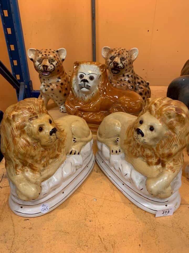 goldtopcopy's tweet photo. .@AthleticoMince are these from Neil Hunt’s seminal Big Cat collection? https://t.co/o2jKOtNJzU