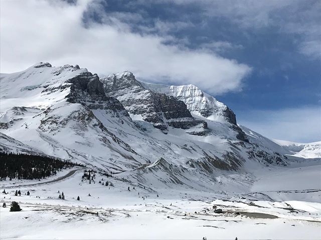oleszow1914's tweet photo. #Athabaska...🤠❄️🏔️ https://t.co/Nad3XrPBMv