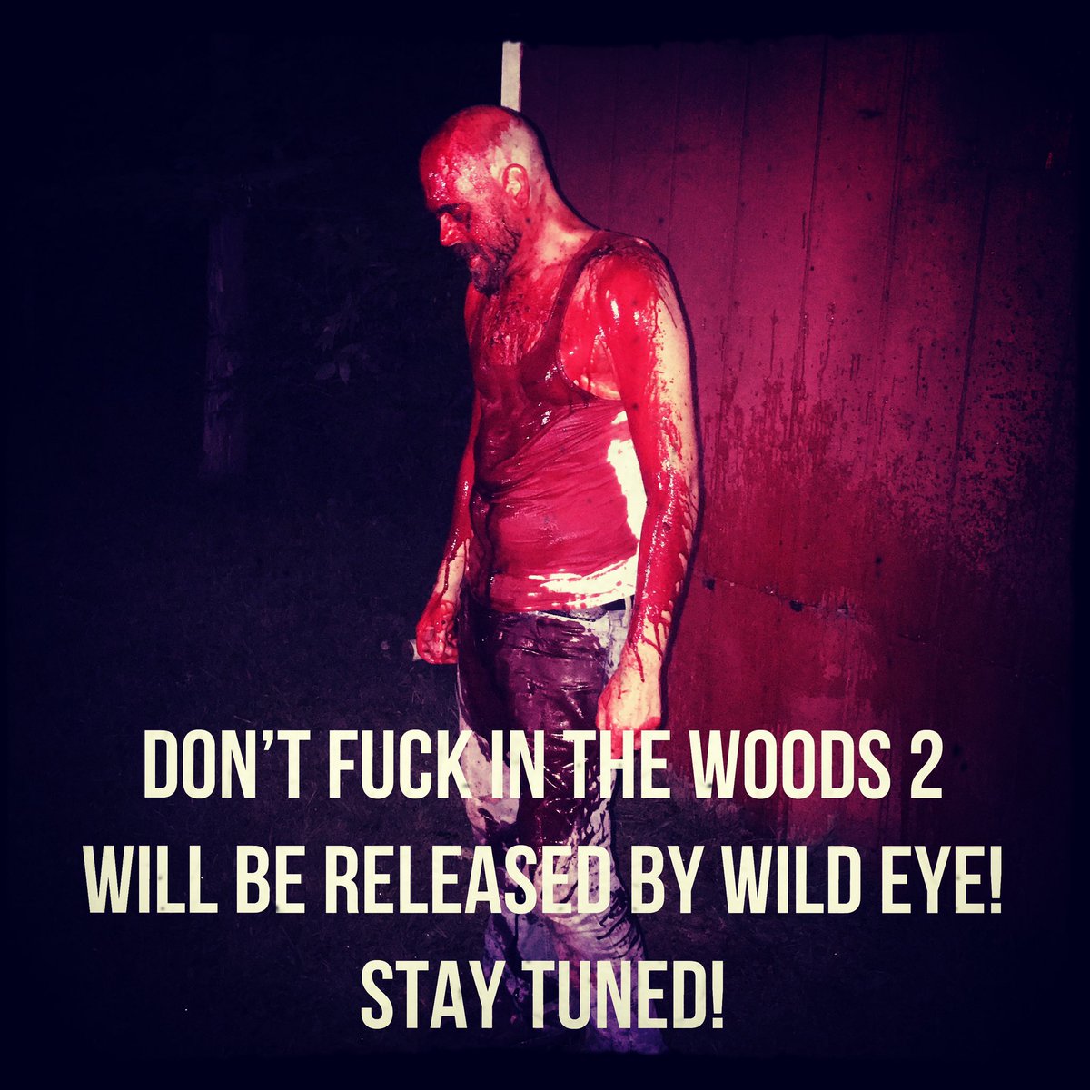 smburkett's tweet photo. The cats out of the bag! Don’t Fuck In The Woods 2 will be released by Wild Eye!!!! #dfitw2 #dfitw #conceptmedia #conceptmediafilms #wildeyereleasing #wildeyefilms https://t.co/krd76XLRln