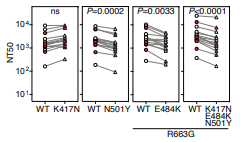 la même analyse effectuée avec les mutants de Spike, en fonction des mutations testées.On voit que la présence de la mutation N501Y et E484K, ou des deux induisent une légère diminution de l'efficacité de neutralisation, d'environ 30%. la neutralisation demeure efficace.