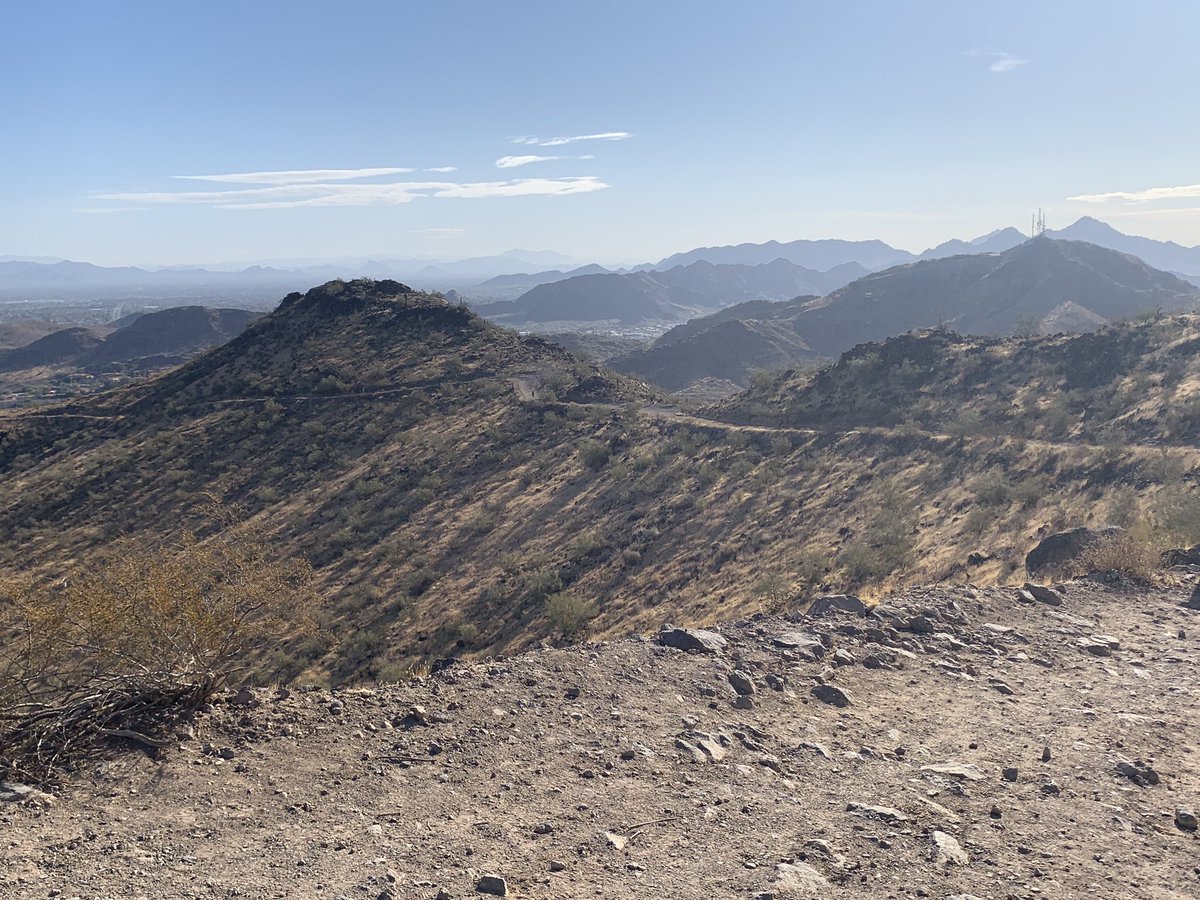 Dr. Airy the Ghostbird tweet media