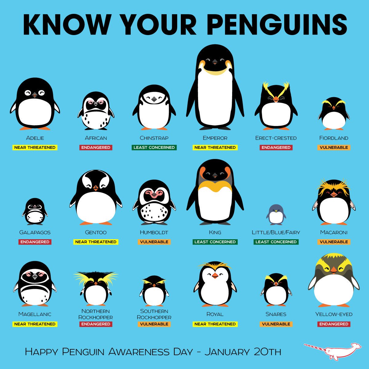 Antartica_ET's tweet photo. #SabiasQue el 20 enero es el Día de la Concienciación por los #Pingüinos. Se cree que hay 18 especies. Incluyen desde el pequeño pingüino azul (Eudyptula minor) hasta el majestuoso pingüino emperador.
El más común en Isla Decepción🇦🇶 es el barbijo (chinstrap)
@EjercitoTierra 🇪🇦 https://t.co/d6FP1WRiqO