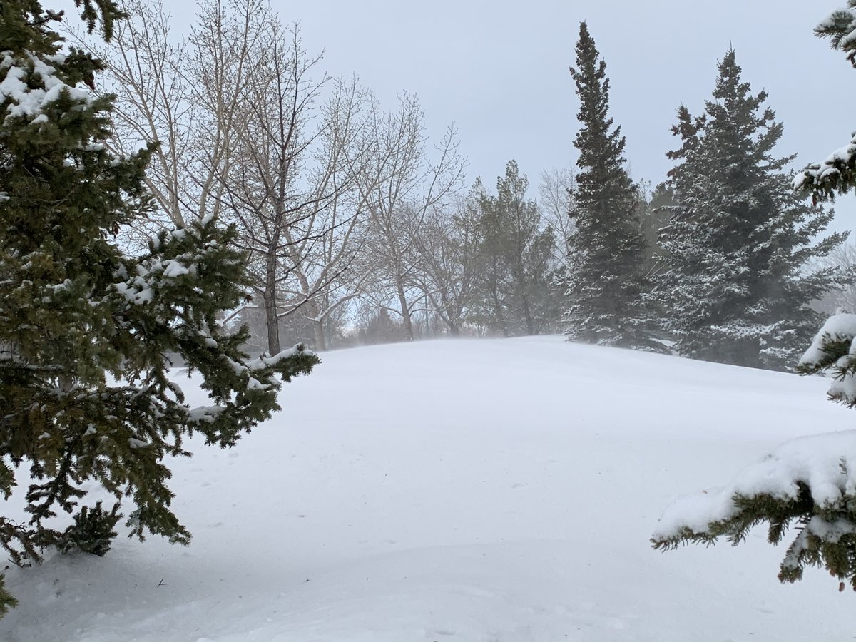 Denise13F's tweet photo. Happy Wednesday
Sharing a few January winter pics of our backyard park trails. Grateful for the open space & bladed snow trails. #running #hiking #walking #selfcare #mentalhealth #NaturesTherapy #IntegrativePsychiatry #ItsOkNotToBeOk #Hope #NeverGiveUp https://t.co/clQlB5Et3C