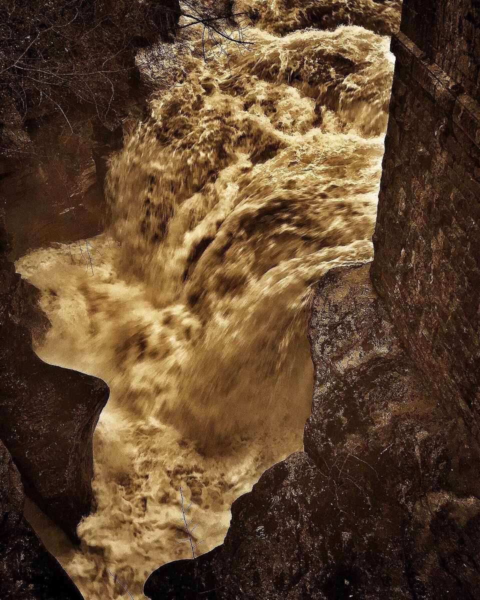 oldcrofthouse's tweet photo. Some days you just need look at wet weather through fresh eyes...
#rhythmsofnature #roaringrivers #squelchy #mud #wetwalks #awakenthesenses #thegreatoutdoors #rivereden @EdenRiversTrust @EdenViaducts #riverwalks #stenkrith #kirkbystephen #cumbria @VisitEden #lockdownwalks https://t.co/jCXdV6hpbD