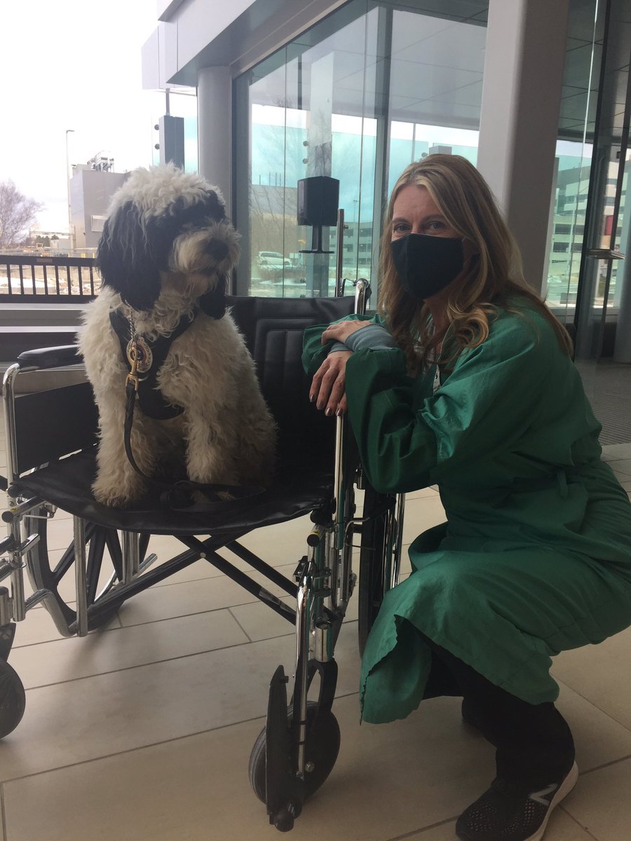 It was so awesome meeting @RNC_Stella <a href="/MUNMed/">Faculty of Medicine</a> today. Thanks for the visit. You’re such a sweet puppy!