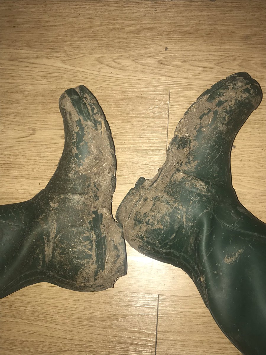 The one pair of wellies I try to keep clean and look what’s happened to them! 🤦🏼‍♀️ I wish there was someone out there who could clean them for me 😜 #wellies #welliewednesday #hunterwellies #boots #feetfetish #bootsworship