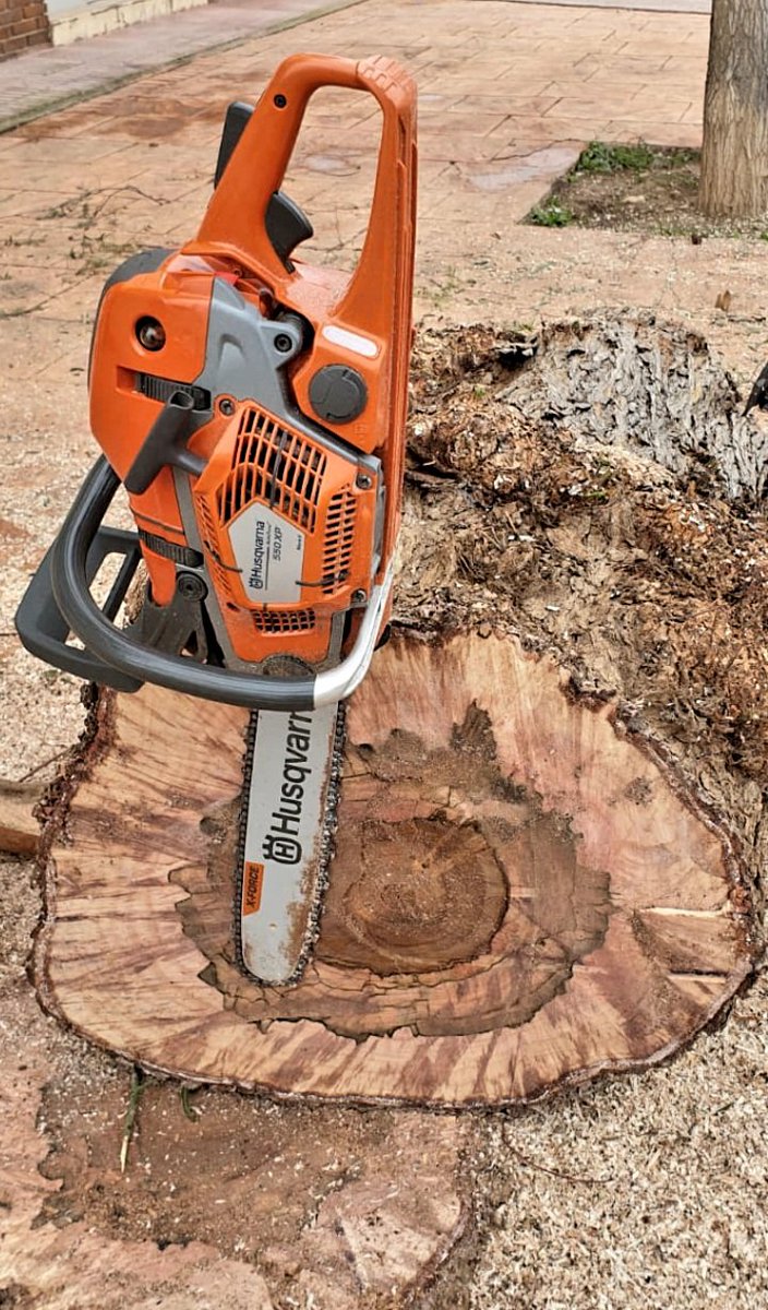Pmartnz14's tweet photo. Maravilla de máquina 💪🌲🔝 #550xp @Husqvarna_ES https://t.co/6i7XncIqL2