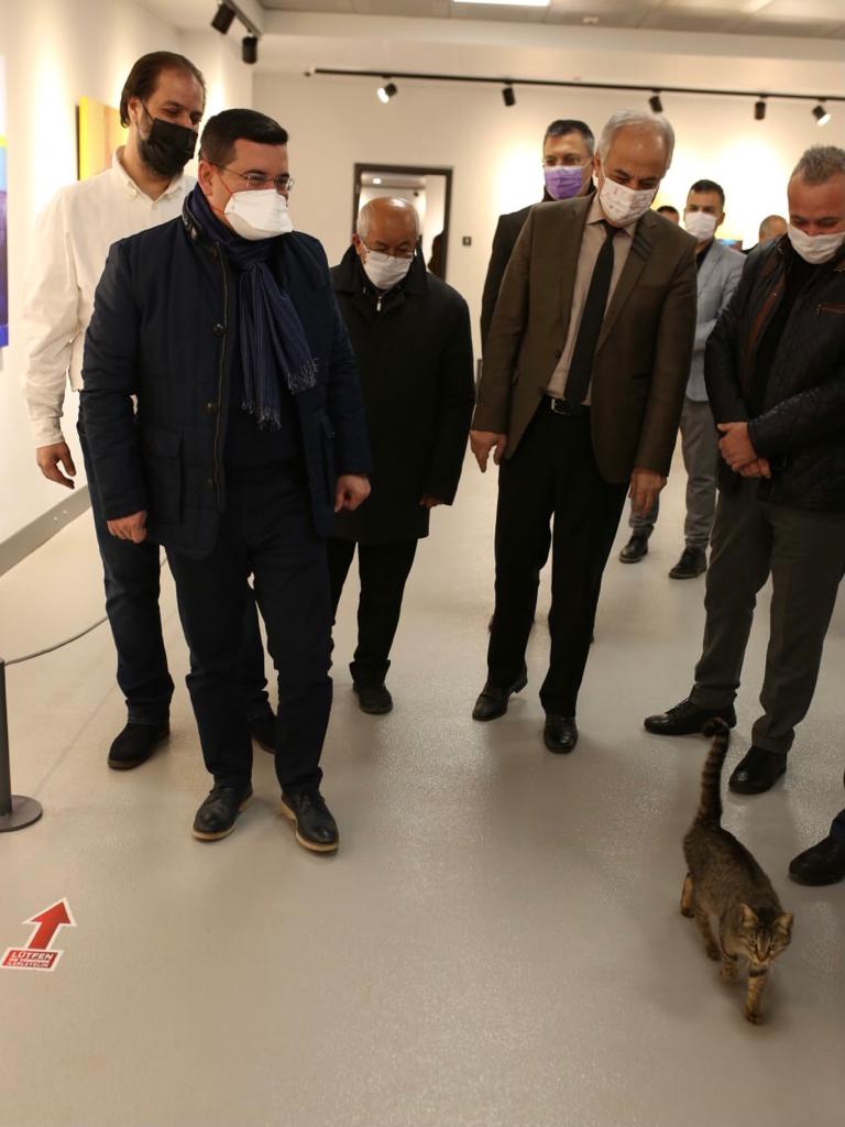 HTutuncu's tweet photo. #DOKUMAPARK Modern Sanatlar Galerisi, üç değerli sanatçımızın eserlerini sanatseverlerin beğenisine sundu. Dokuma sakini bu şirin kedi de serginin sürpriz konuğu oldu. Sergiyi birlikte gezdik. 🙂 Sizce bu miniğin adı ne olsun? https://t.co/zOG8Ohdjrv