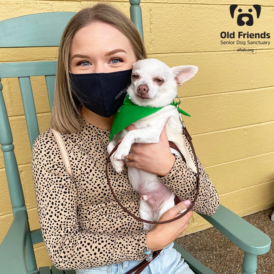 oldfriendssds's tweet photo. Foster Alert!!!
Precious Chip is heading to his Forever Foster home! If you look up the word 'Spoiled' in the dictionary, it simply says, 'See Chip'. Thank you for opening your heart and home to our beloved Chip! Happy Tails!
#ofsds #ofsdschip #seniordogs #ofsdsfostered https://t.co/RdXVlYQ65f