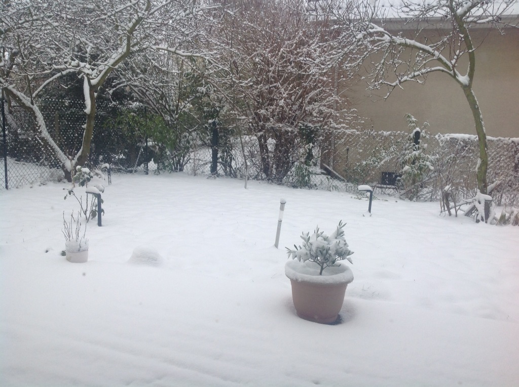 yousfi younes (@etoglas) on Twitter photo 