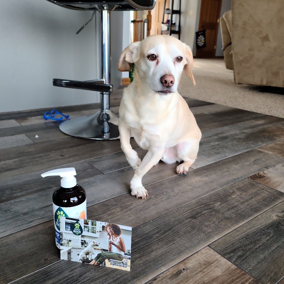 BeerrunBabe's tweet photo. so happy to try @everroot #influenster https://t.co/xowkED6B4k https://t.co/vpdMabUKZg