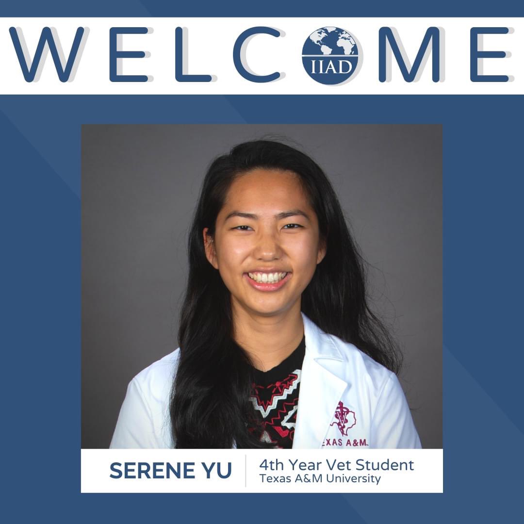 IIADAgriLife's tweet photo. A very warm welcome to Serene Yu as she joins the IIAD team as our newest intern! 

Serene is currently a fourth-year veterinary student at Texas A&amp;M with a focus in public health

#IIAD #tamu #agrilife #vetstudent #intern #animalhealth #publichealth #veterinarian #globalimpact https://t.co/CKcLNDlPeF