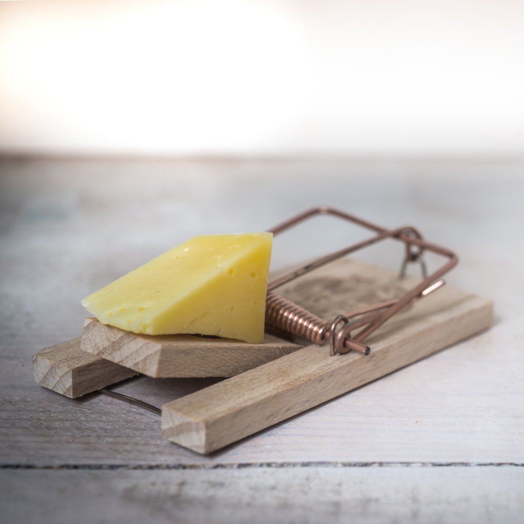 LaGrottaDelForm's tweet photo. Today is #CheeseLoversDay! How many of you would fall into this trap?🧀🐭 https://t.co/PExmIFGSzt