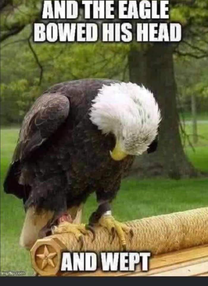 ursulagonzalez's tweet photo. @WhiteHouse45 
Thank you very much President Trump. Can't wait for your return. 

Meanwhile... https://t.co/s1oazcHyCQ