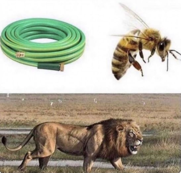 CauseWereGuys's tweet photo. Just a friendly reminder https://t.co/lnqOv8xdSO