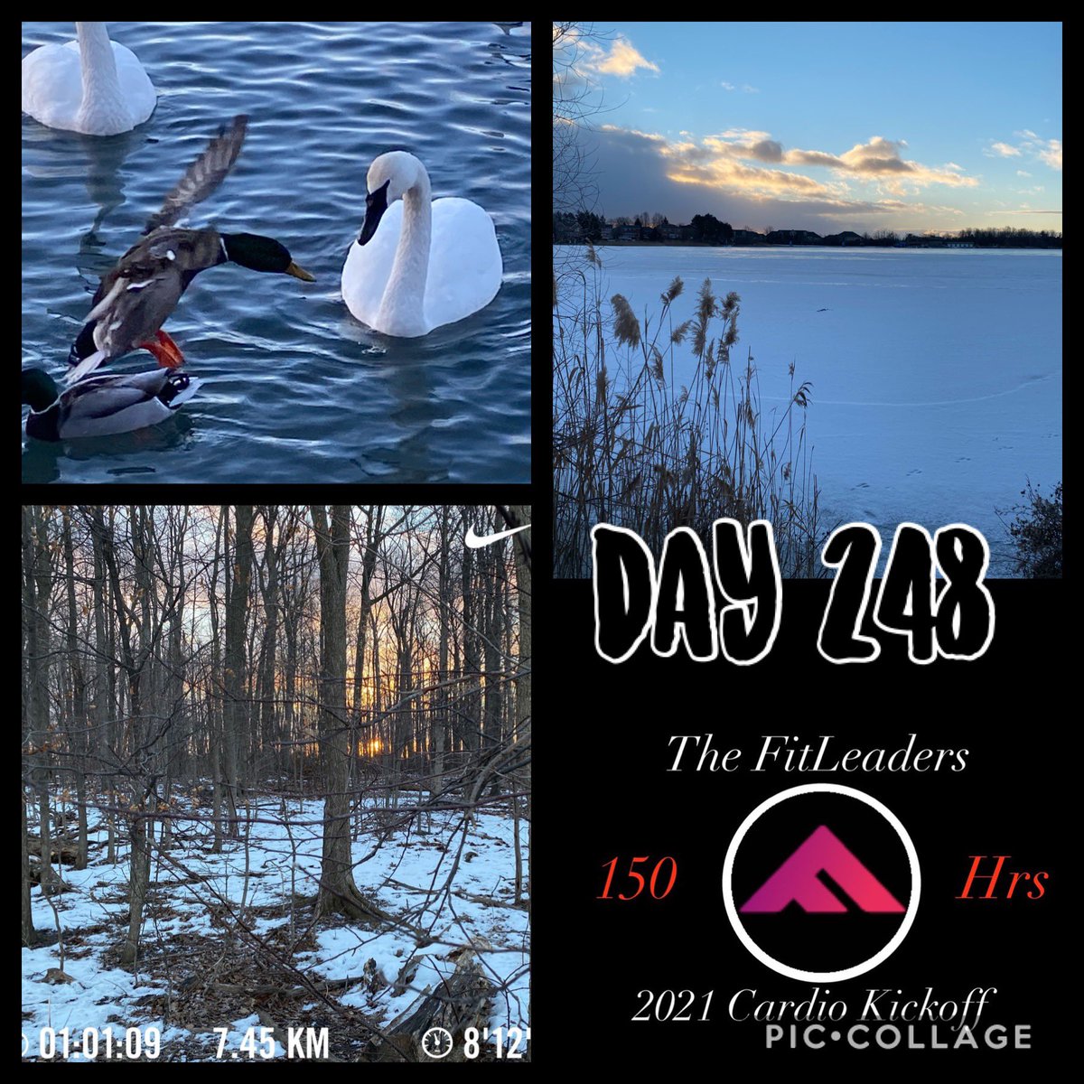 BetsyCallanan's tweet photo. Day 248 #EducatorsONtheRun Day 20 #ActiveEveryday2021 #2021CardioKickoff Coldest day in a while. Actually wore a toque 🥶. Not my best time, but kept plugging, numb toes and all! #FitLeaders #theWalkingEd #TrueNorthMove #RunEveryDay https://t.co/9RXf6naQDy