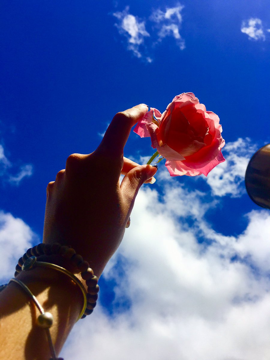 arysuarez23's tweet photo. Reproduce tus sueños.😌😌 https://t.co/5az46XgRKu