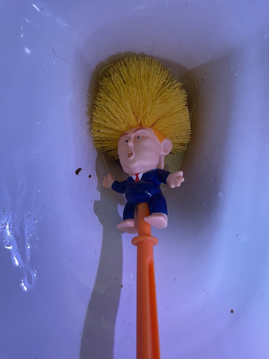 petertowers68's tweet photo. Best use of my Donald now...truly flushed down the pan...goodbye Looney Tunes! https://t.co/4FETbMI1dK