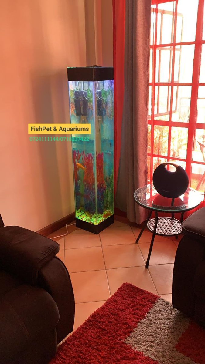 nicksitima's tweet photo. We do all aquariums for sale and their accessories. Our catalogue is available. 0724111144

Simeon Nyachae
Biden
Nairobi Governor https://t.co/okV675N49X