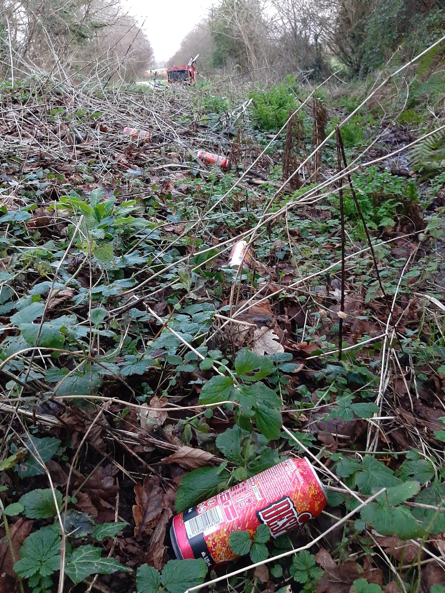 La Recyclette a repris ses bonnes vieilles habitudes, en sortant le #vélo et la #carriole pour la première fois de l'année. La sortie a été riche en découverte entre #Valognes et #Montebourg. À l'arrivée, toujours le même constat : la #route est vraiment une #poubelle.😭 #nature