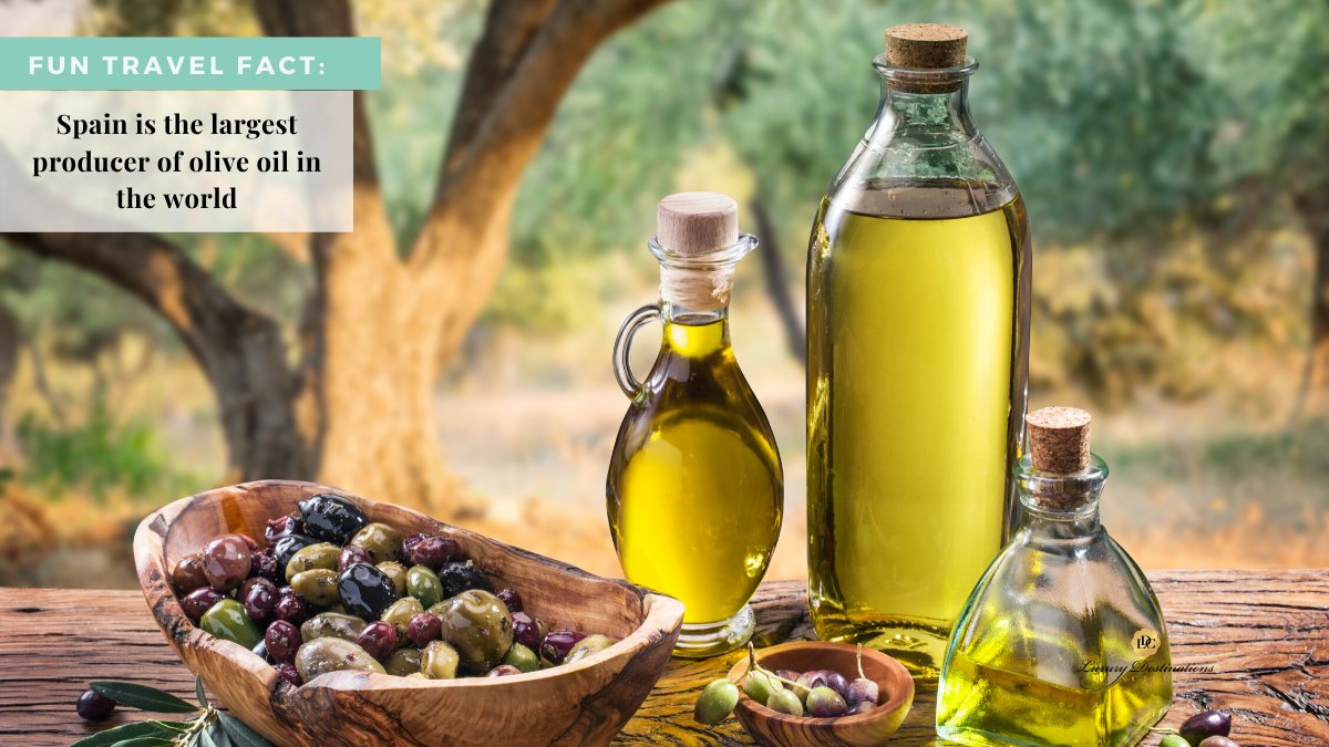 luxdesconcierge's tweet photo. Fun Travel Fact: Spain is the worlds largest producer of olive oil accounting for nearly 40% of the total global production.
#luxurydestinationsconcierge #luxurytravel #luxuryvacation #funtravelfact https://t.co/YzhOslGpr1