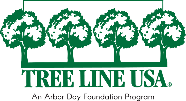 SVEC_Coop's tweet photo. Thank you to @arborday who named SVEC a "2021 Tree Line USA" in honor of our commitment to proper tree pruning, planting and care in our service area! Our "Right Tree Right Place" program is one of those efforts. Learn more about it here: https://t.co/8AwGC8nA5Y https://t.co/766ejOnrwP
