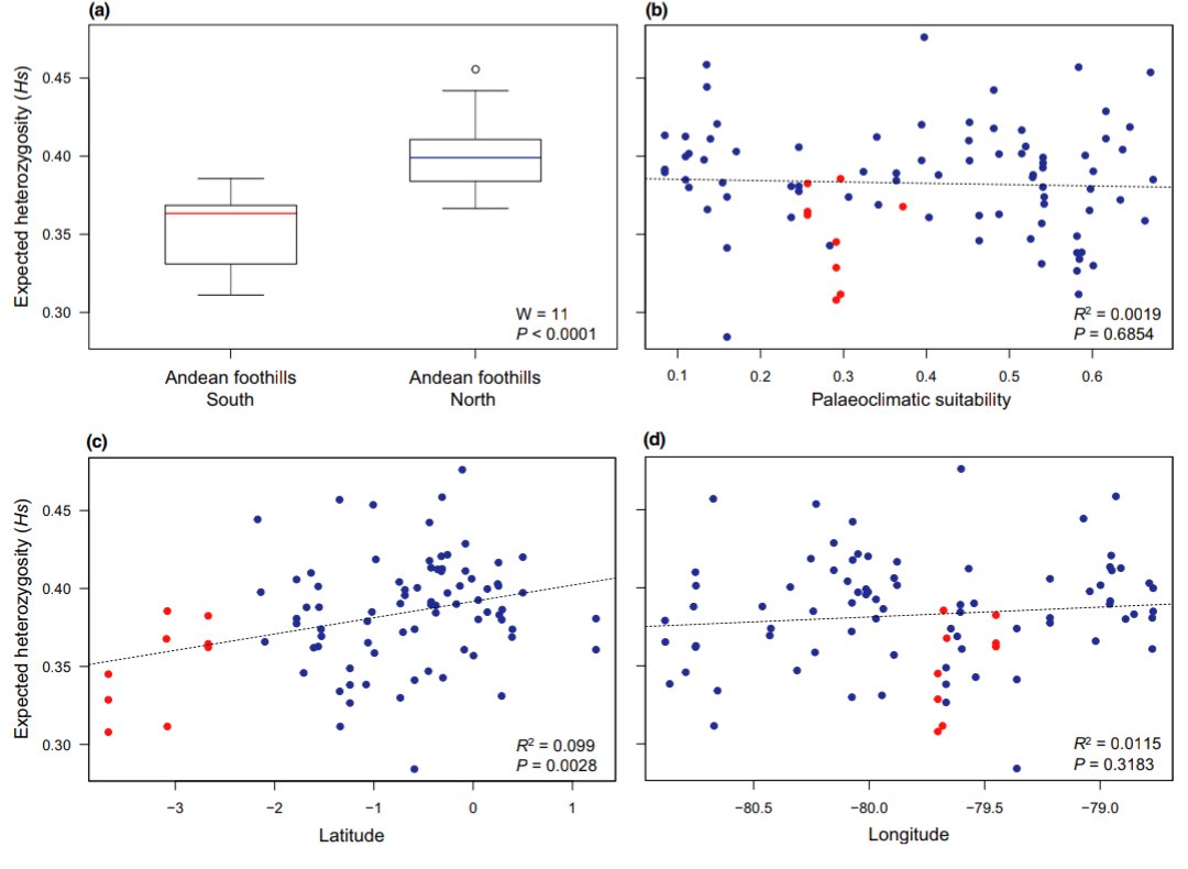 In addition, we detected a significant increase of genetic diversity with decreasing latitude, suggesting that  #Phytelephas aequatorialis colonized western Ecuador from north to south.
