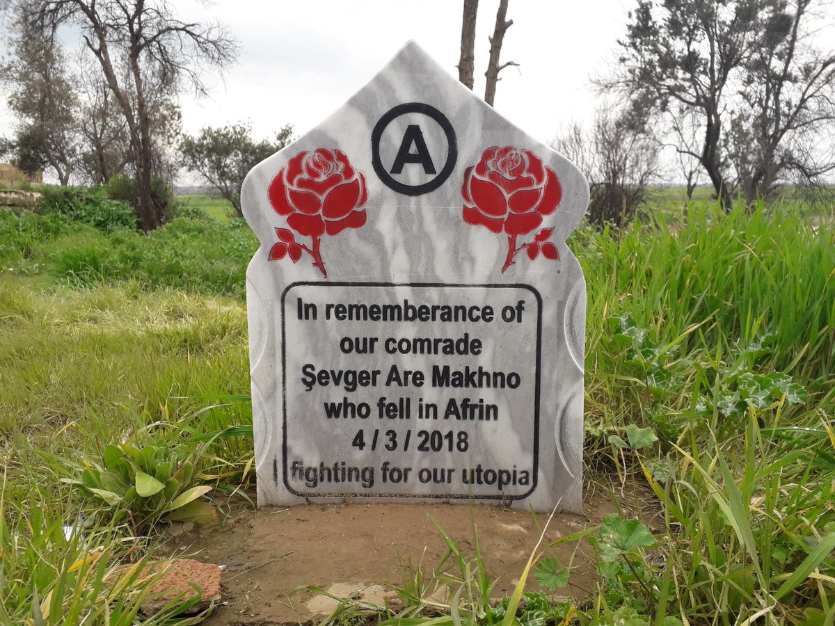 The Base tweet media