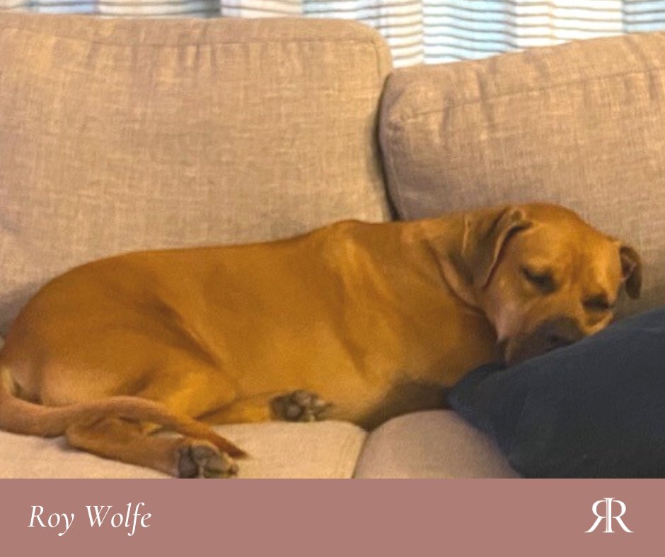 TheRudnickiFirm's tweet image. In honor of our newly sworn in #FirstPets, Champ &amp;amp; Major, TRF is sharing this historic “Indoguration Day” with our furry assistants! We hope today’s ceremony &amp;amp; our adorable best friends will inspire you for a work week &amp;amp; new year of hope ahead! #PatrioticPets #InaugurationDay