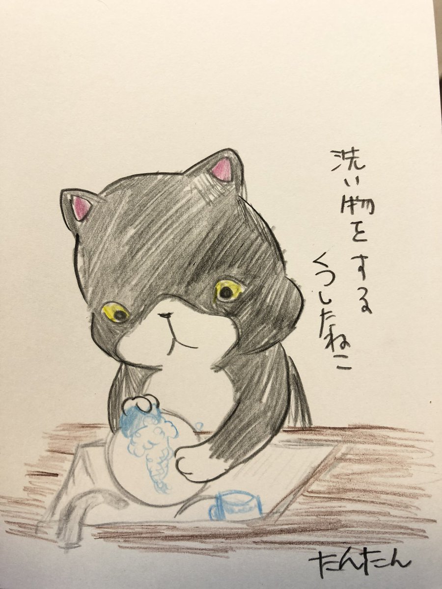 洗い物をするくつしたねこ

#イラスト #猫
#色鉛筆 