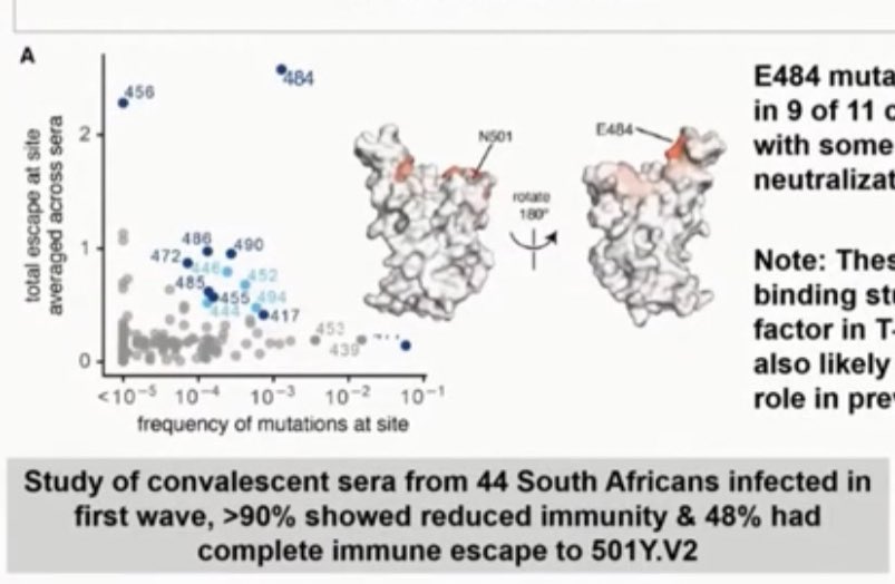 3) And the  #B1351 variant did not just 48% had “complete immune escape”, but 90% also showed reduced immune response. That’s a lot.