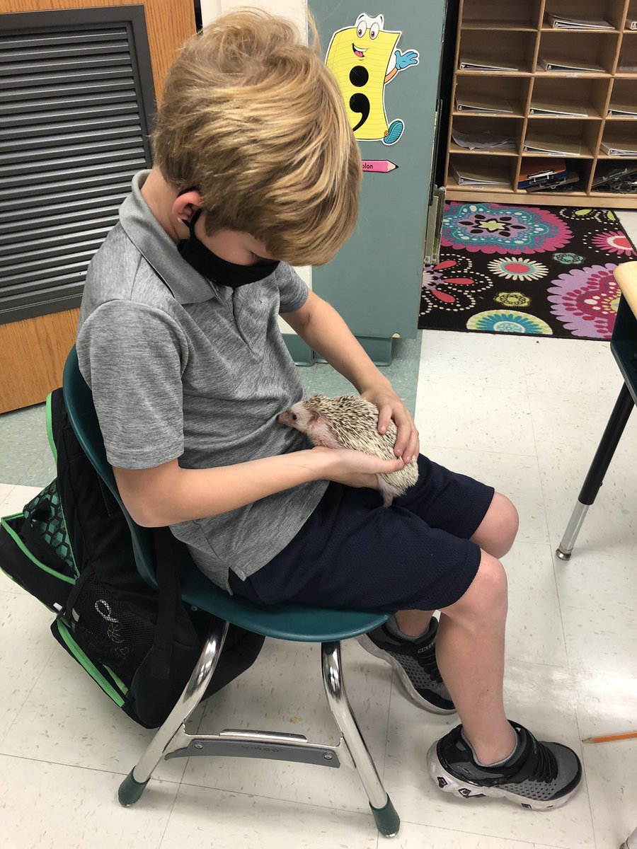 We had a cute little visitor today. The kids were surprised and fell completely in love with this little girl ❤️<a href="/cypresscreekvcs/">Cypress Creek</a> <a href="/MrsMoultonTEACH/">Academic Coach’s T.E.A.M Dugout</a>