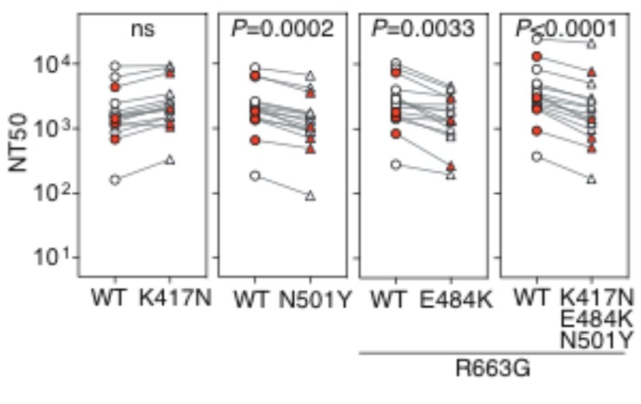 6) What about blood from vaccinated people? One study tested blood from 14 people who had received Moderna vaccine (white) & 6 who had received Pfizer-BioNTech (red). There was a drop in neutralizations w/ both N501Y (many variants) and E484K mutations ( #B1351 &  #p1 variants).