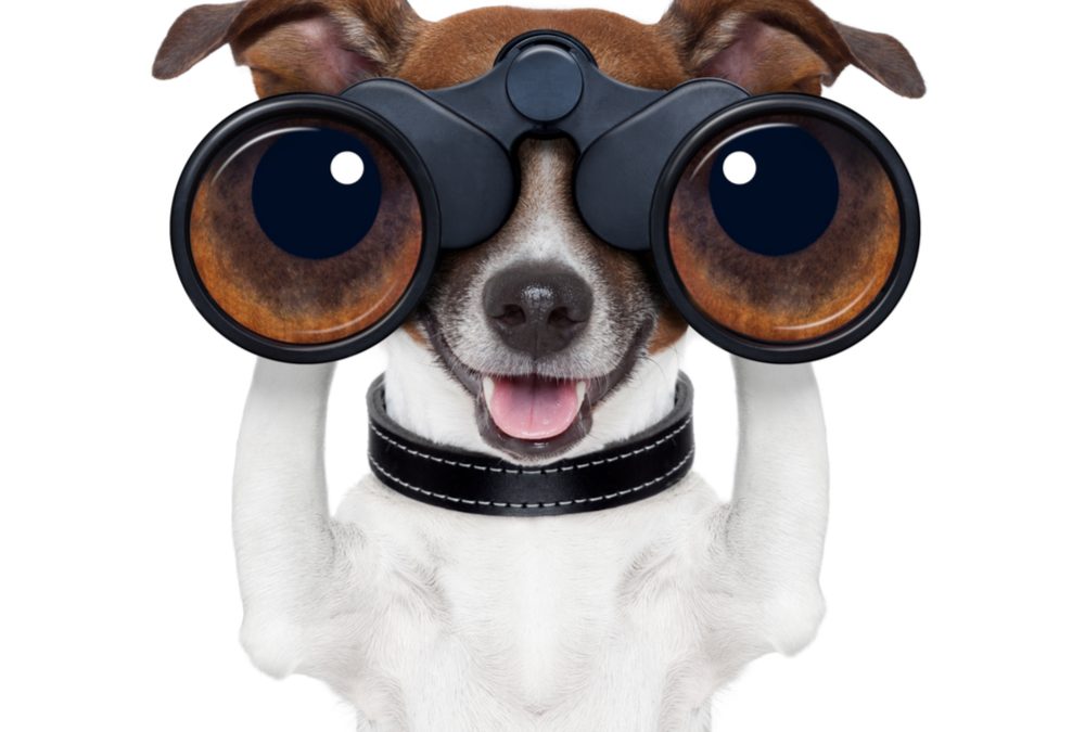 #Vacancy
Waitaki District Council are looking for an Independent Member to join the Performance Audit and Risk Committee. This role will assist the Committee to oversee the Council's financial and risk management practices. 
Read more on ow.ly/TlFb50DdRXW