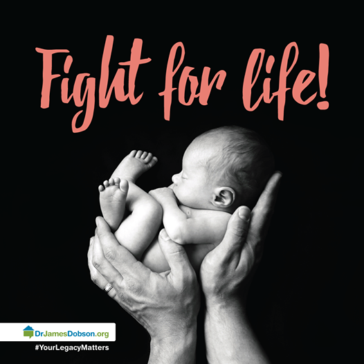 DrJamesDobsonFT's tweet photo. We must not forget the tiny babies who continue to be slaughtered at the hands of the abortionists and their supporters. Every child who has died is known by name to our Heavenly Father, and we must do everything we can to protect babies—present and future. #SanctityOfHumanLife https://t.co/8ubW4LHbC0