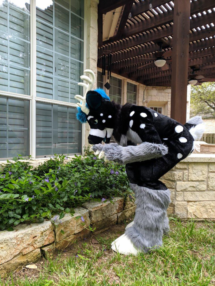 Cannibal Cervine tweet media