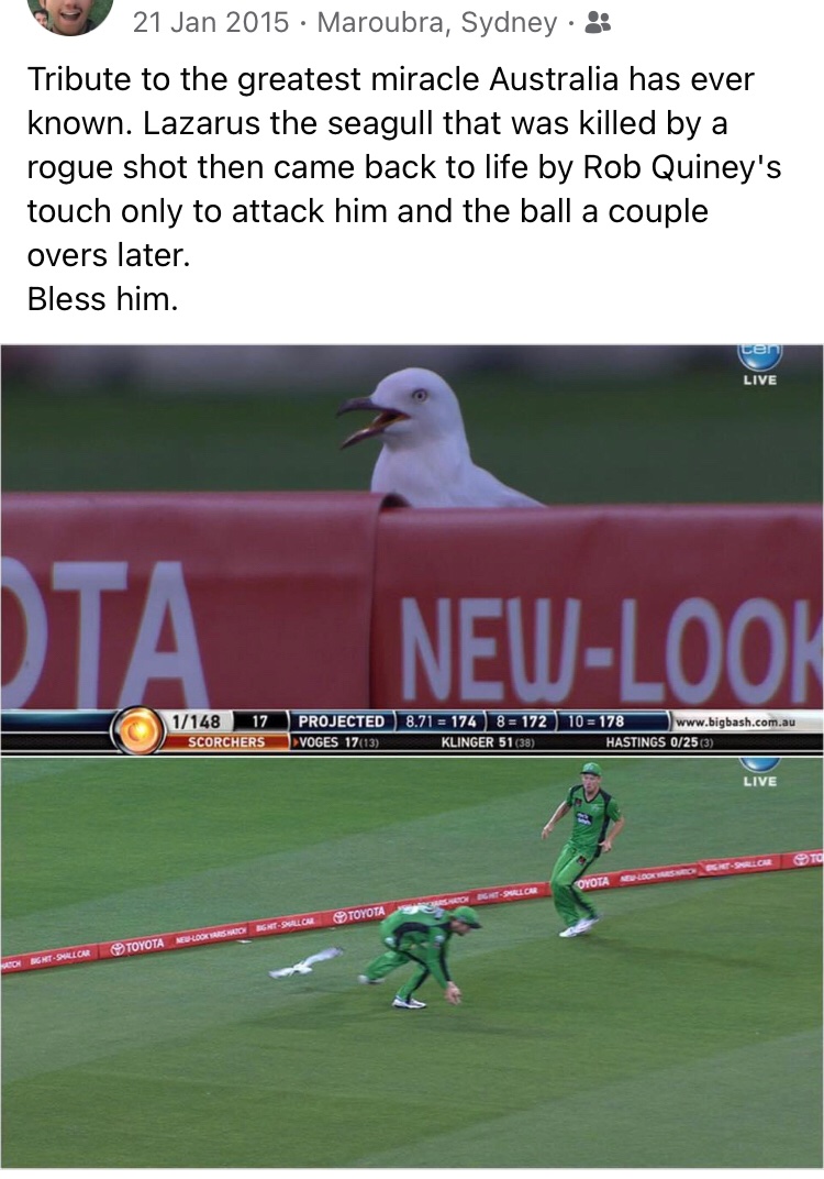 The Big Bash really peaked 6 years ago on this night #lazarus 🐤 #BBL10 #BBL04