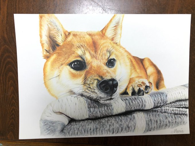 筆画のtwitterイラスト検索結果 筆画のtwitterイラスト検索結果