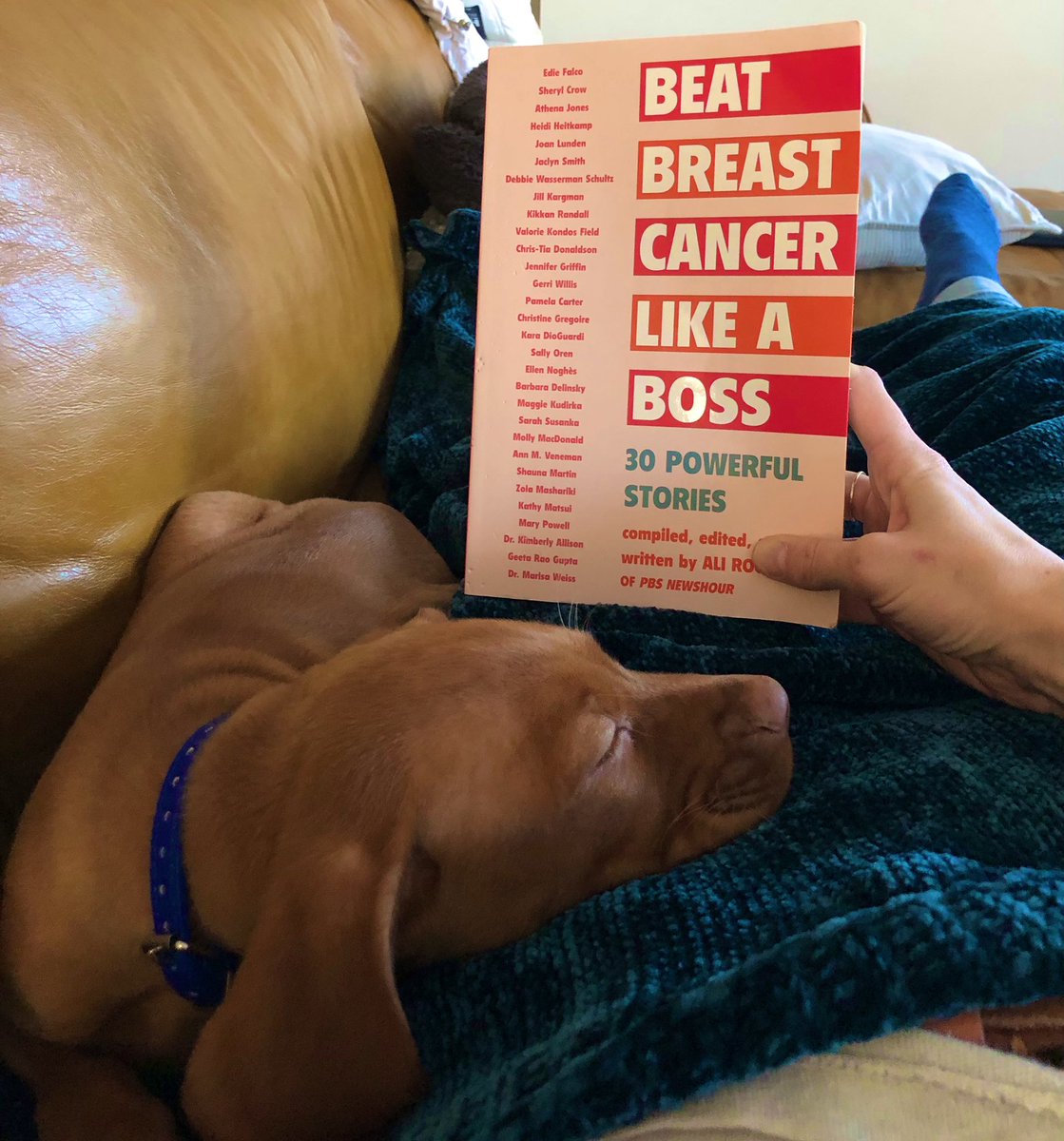 Nicole Weller tweet media