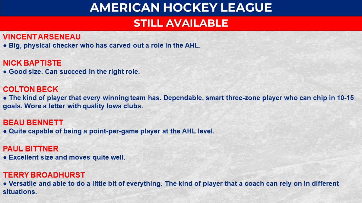 The biggest action is among the forwards, where there are still elite scorers who have 25- or 30-goal track records. This list contains captains, Calder Cup champions, and all types of roles.Many of these players also have considerable history mentoring top young prospects.