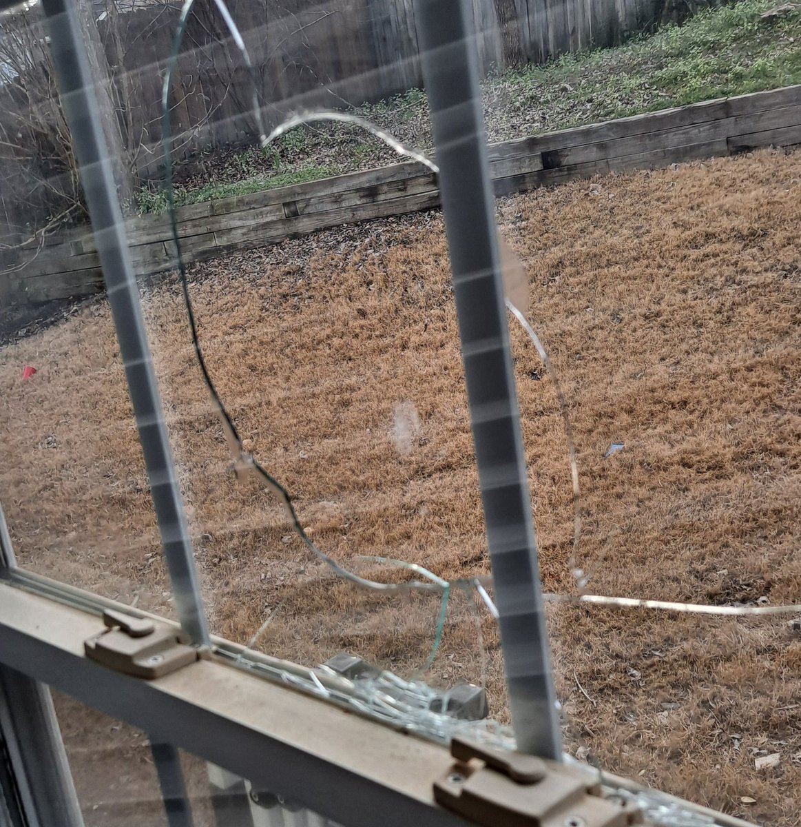 The Narrator tweet media