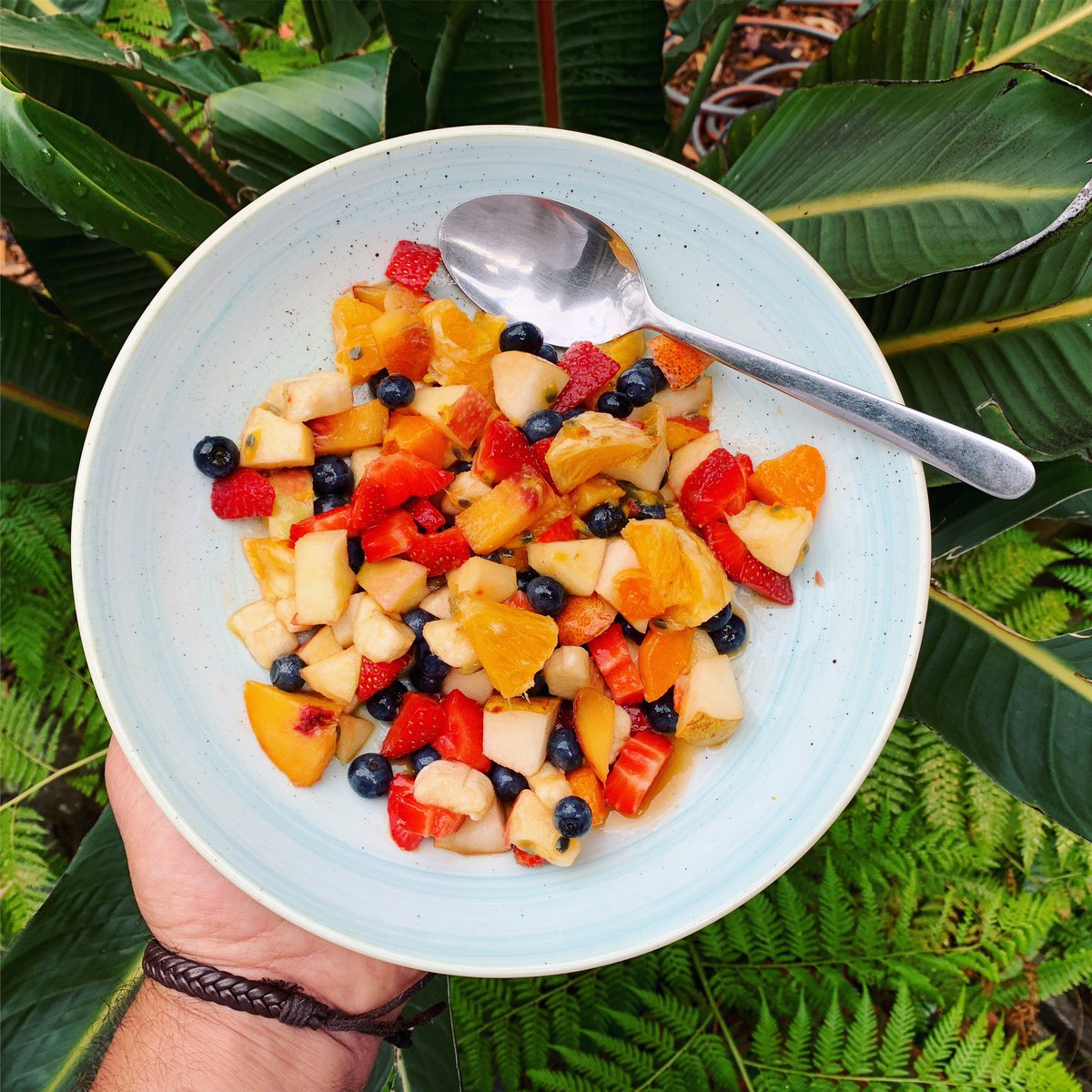 Ben_G_Mitchell's tweet photo. Good morning.
Kicking today off right with this tropical fruit delight.
Happy nourishment to you.
#breakfastofchampions #fruitsalad #northernbeaches #nsw #extendedholiday #nourishment https://t.co/jCSKRyHpih