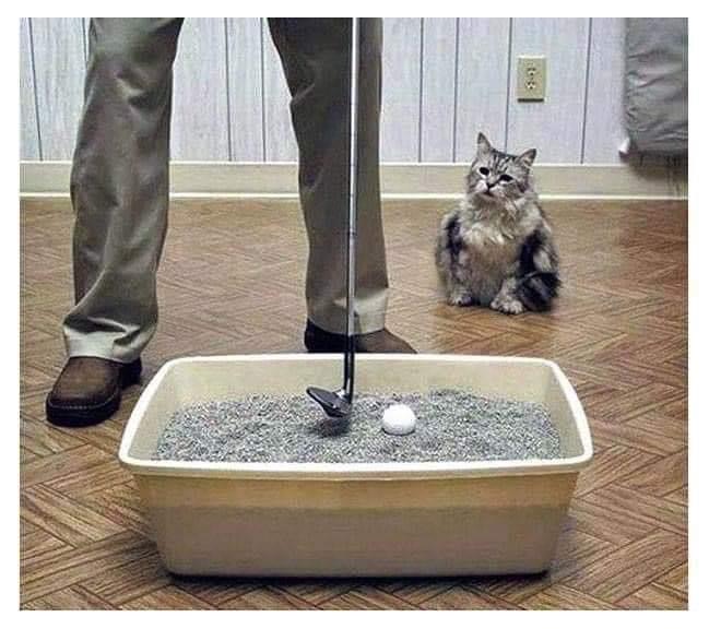 teeto_pin's tweet photo. Struggling with lockdown, have you managed to come up with innovative ways to practice your chipping! #golfpractice https://t.co/0LJYwjO9RZ