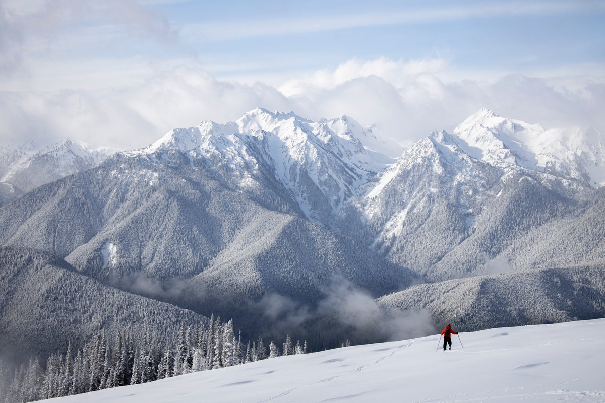 Olympic NPS tweet media