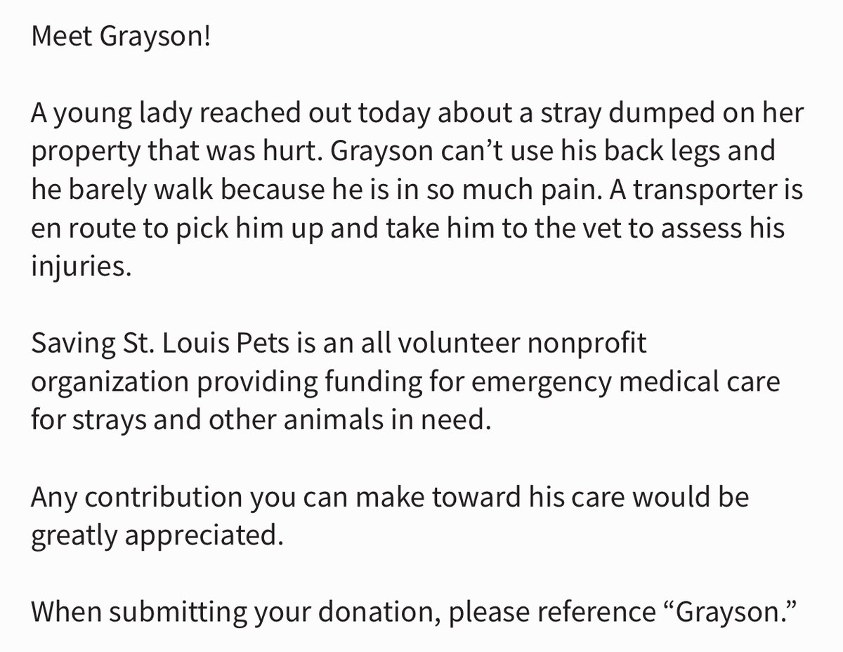 STL_SSLP's tweet image. Please help us help Grayson! He is in pain and can’t use his hind legs. paypal.me/savingstlouisp… 
#animalrescue #adoptdontshop #rescue #animals #animallovers #animalrights #cats #animallover #animalwelfare #animal #dogrescue #friendsnotfood #rescuedog #cat #wildlife #adopt #pets