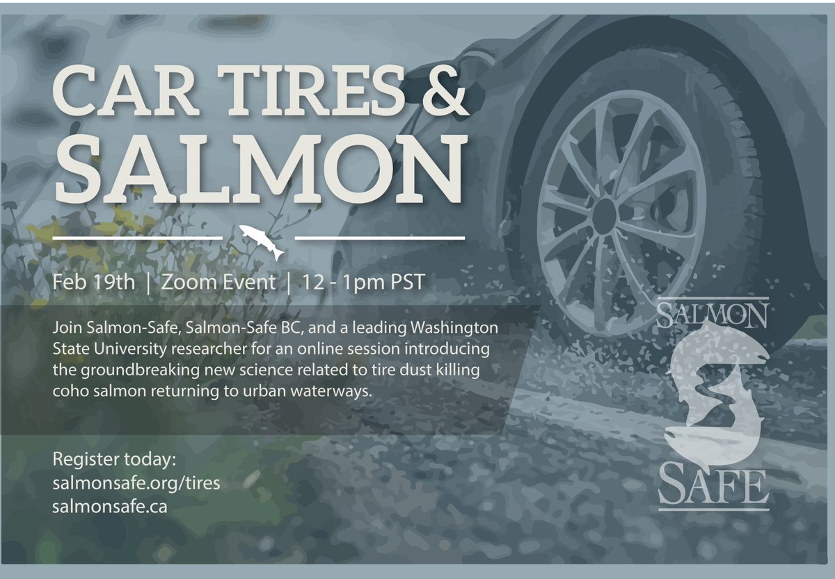 SalmonSafeBC's tweet photo. Our next online event, offered in partnership with @salmonsafe is taking place on February 19 from 12 - 1 pm &amp; will explore groundbreaking new research related to tire dust, #stormwater, and coho salmon. Join us by signing up at https://t.co/KPuuGILvrL https://t.co/HDRqVzfN2h
