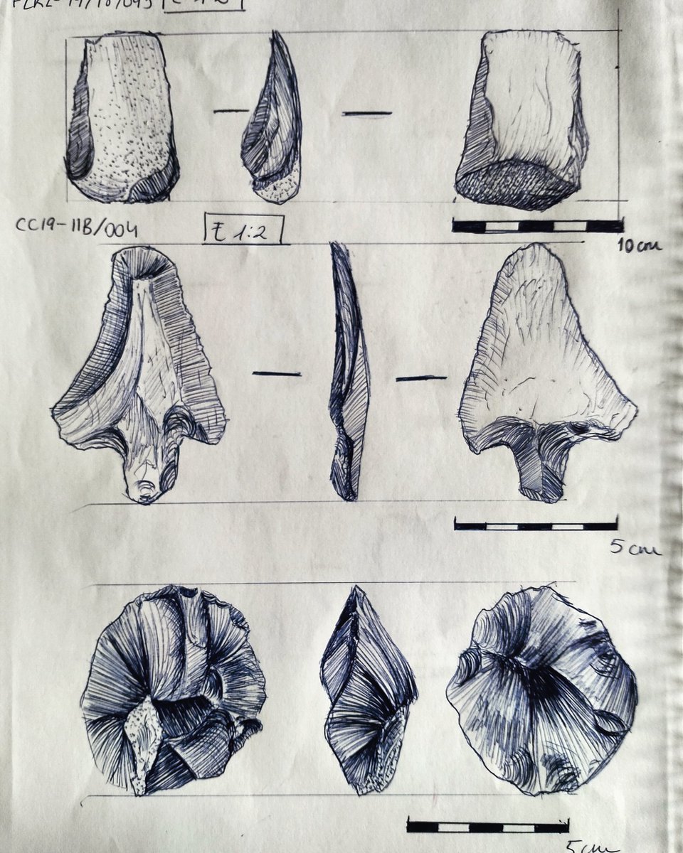 squeezed_soul's tweet photo. For those of you who didn't know... I actually do study some really old stuff. And I tend to draw it too. This is another kind of Flint I really like 😎
#archeologist #illustration #flinttools #flintknapping https://t.co/57fMUMRaMD