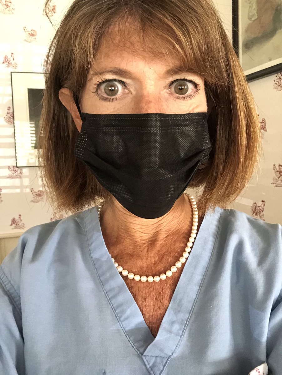 drninashapiro's tweet photo. Dressy mask and work masks/face shield but both require pearls. 

⁦@VP⁩ ⁦@KamalaHarris⁩ #pearls #glassceiling https://t.co/ZOwdcADZsT