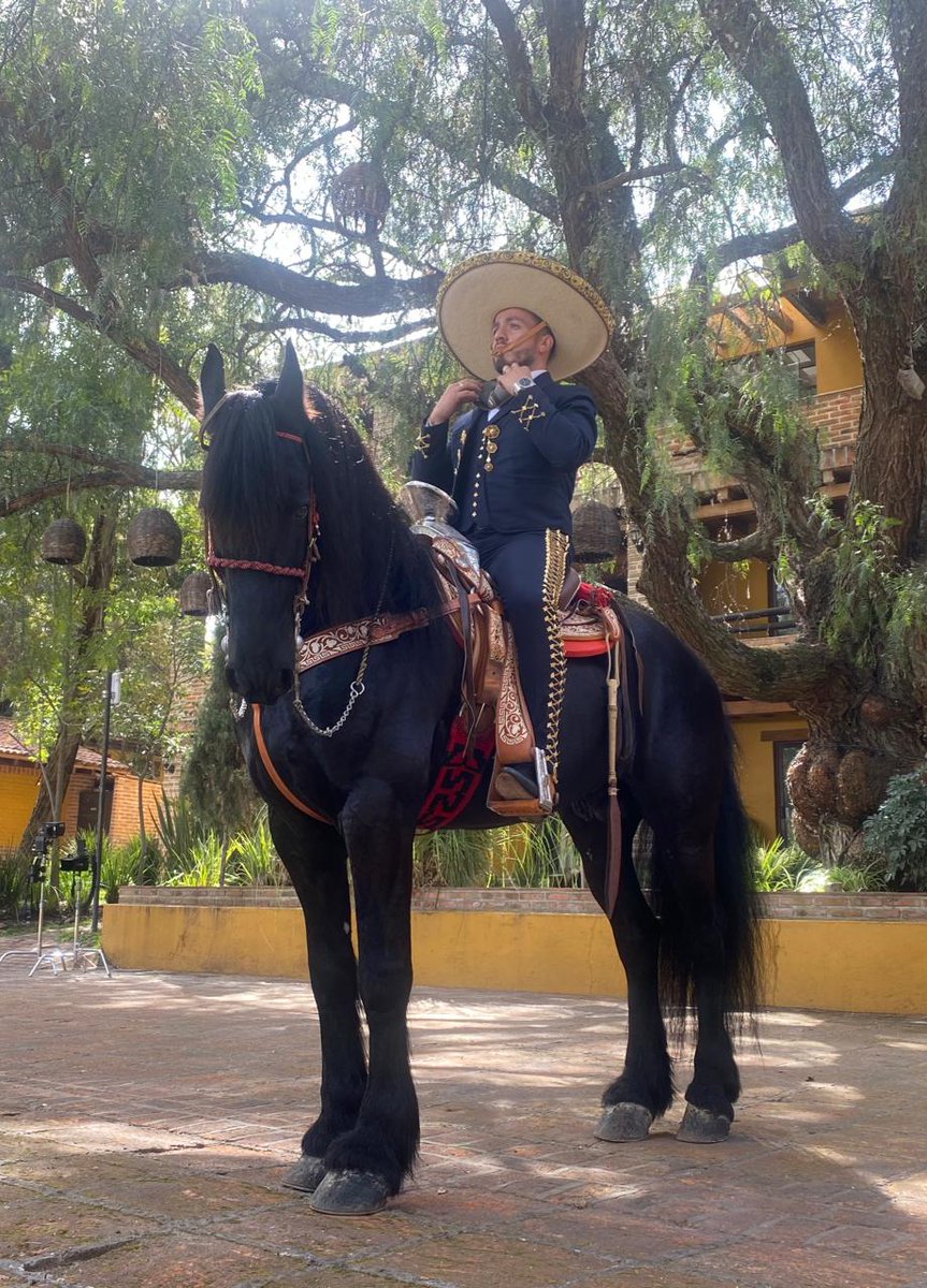 idgruperaofi's tweet photo. #IdentidadGrupera @panchouresti y Melissa Plancarte callan rumores de separación y para que vean que están más unidos que nunca lanzan TÚ DE QUÉ VAS sencillo y video en el que recuerdan su boda!
#Rt @MaryAyala_Music https://t.co/rgGiNwIfcu
